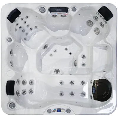 Avalon EC-849L hot tubs for sale in Bethany Beach