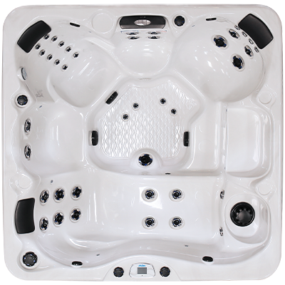 Avalon EC-840L hot tubs for sale in hot tubs spas for sale Bethany Beach