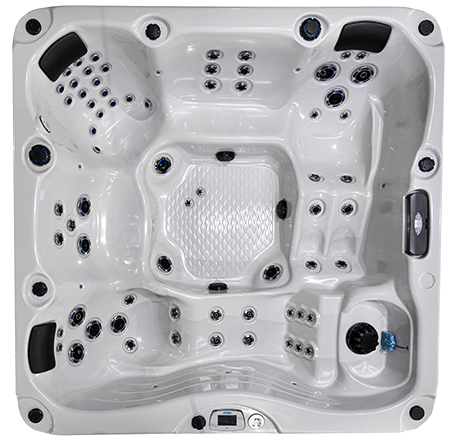 Malibu-X EC-867DLX hot tubs for sale in hot tubs spas for sale Bethany Beach