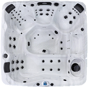 Avalon EC-867L hot tubs for sale in hot tubs spas for sale Bethany Beach
