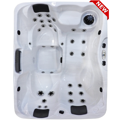 Kona Plus PPZ-533L hot tubs for sale in hot tubs spas for sale Bethany Beach