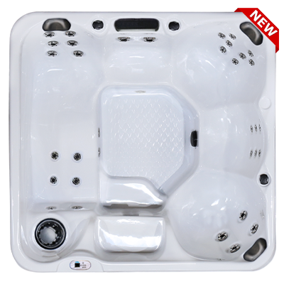 Hawaiian Plus PPZ-634L hot tubs for sale in hot tubs spas for sale Bethany Beach