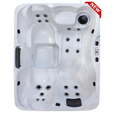 Kona PZ-519L hot tubs for sale in hot tubs spas for sale Bethany Beach