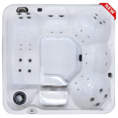 Hawaiian PZ-636L hot tubs for sale in hot tubs spas for sale Bethany Beach
